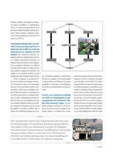 page prev